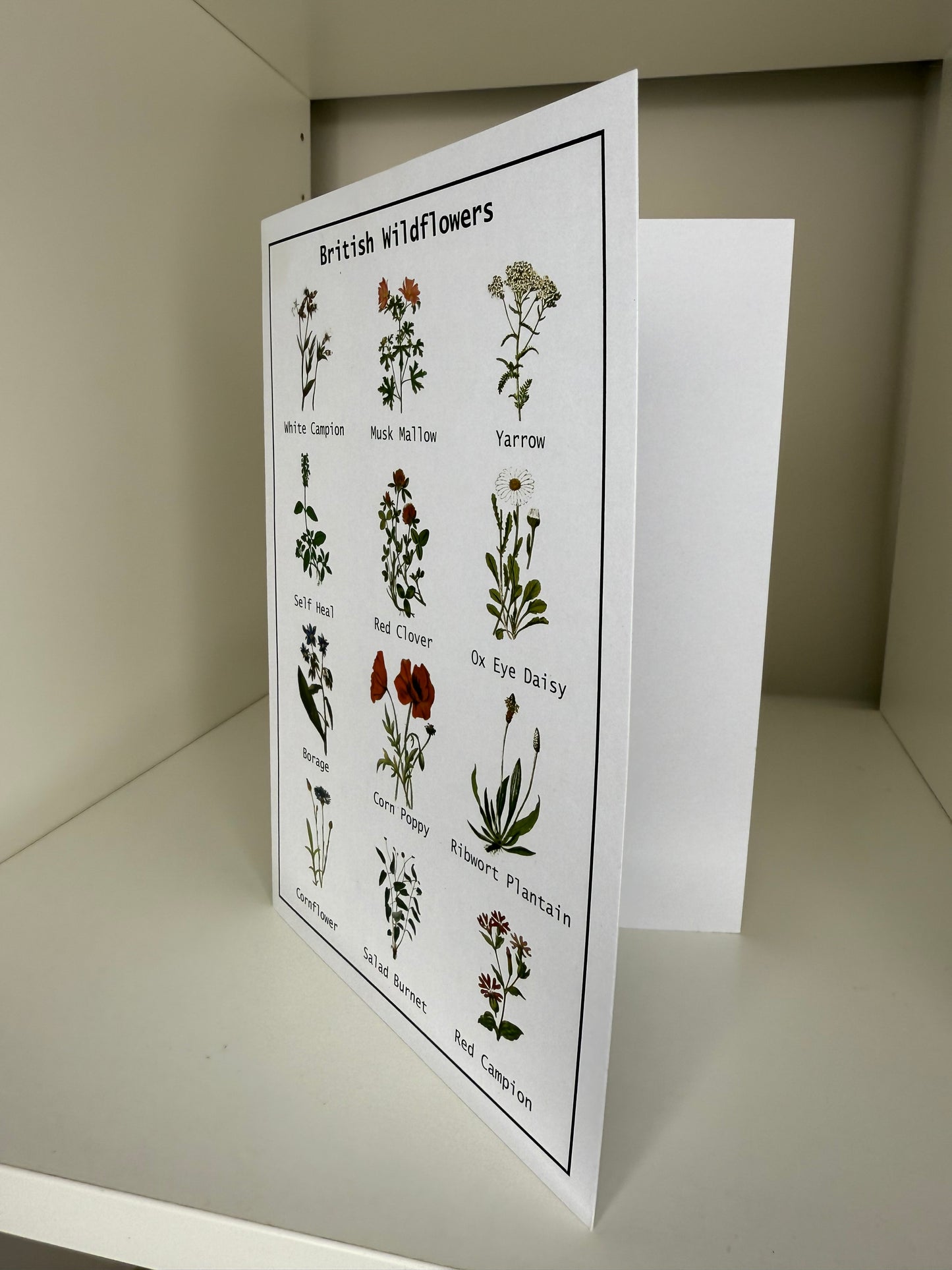 Wildflower seed card