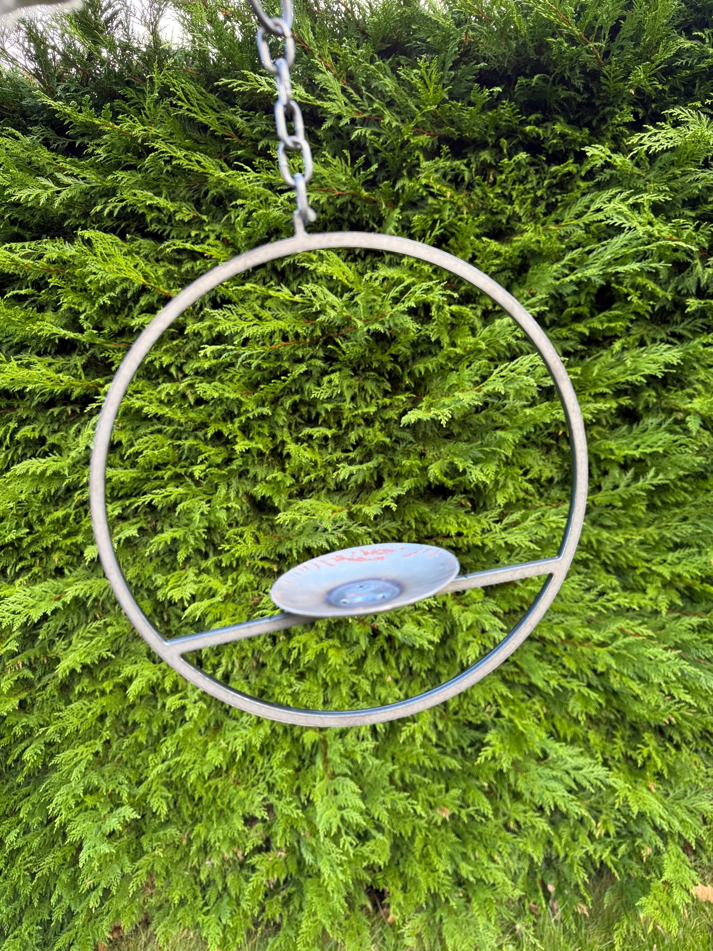 Hanging bird feeder ring